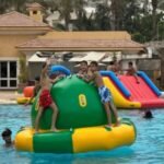 water bee (b)